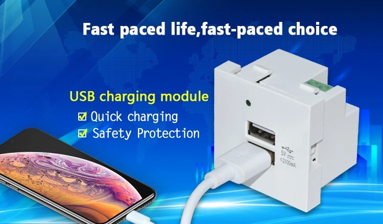 Dual Port USB Charging Module 5.0V/2.1A USB Type a Quick Charger 45X45mm Charging Socket with LED Light